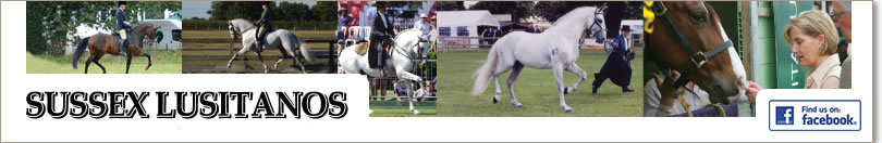 Sussex Lusitanos