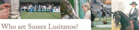 Who are Sussex Lusitanos